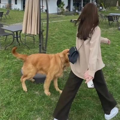 看不见 焦点图
